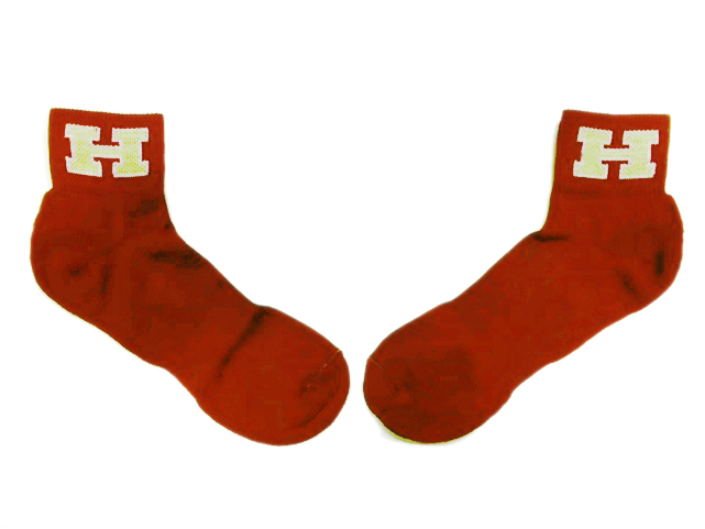 Custom Socks with Logo