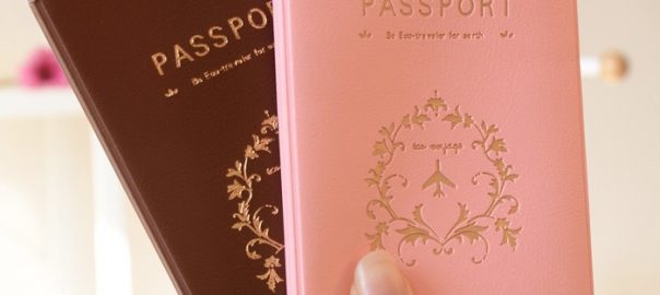 Novelty Passports for Sale