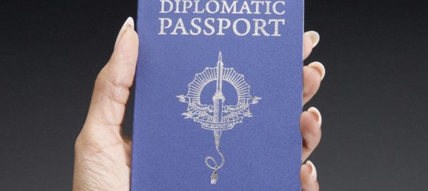 Custom Novelty Passports
